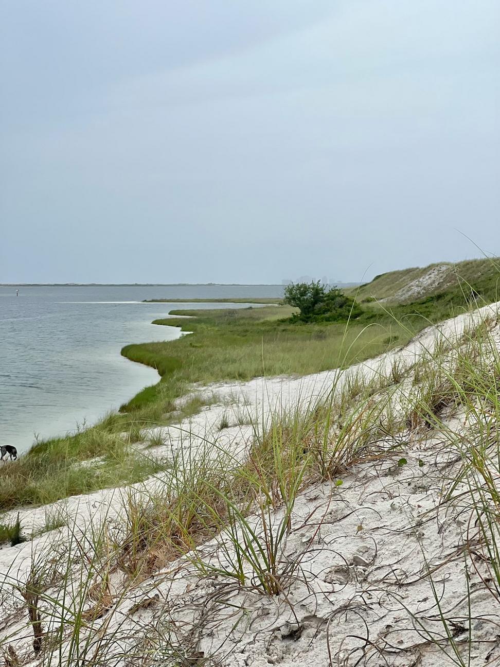 Site before construction
